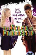 The Color of Friendship