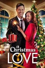 A Christmas Love