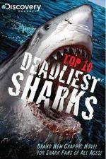 National Geographic Worlds Deadliest Sharks