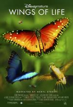 Disneynature: Wings of Life