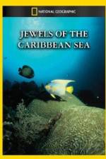 National Geographic Jewels of the Caribbean Sea