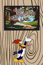 The Redwood Sap (Short 1951)