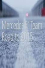 Mercedes F1 Team: Road to 2015