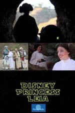 Disney Princess Leia Part of Hans World