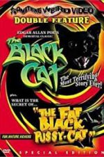 The Black Cat