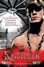 WWE New Year's Revolution