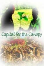 Capital for the Canopy