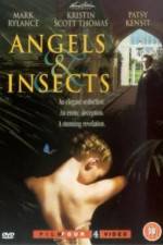 Angels and Insects