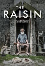 The Raisin (Short 2017)