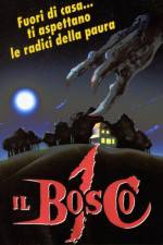 Il bosco 1