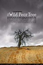 The Wild Pear Tree