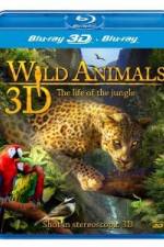 Wild Animals - The Life of the Jungle 3D