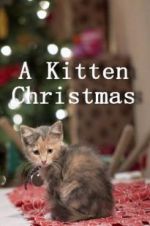 A Kitten Christmas