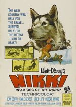 Nikki, Wild Dog of the North