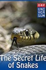 The Secret Life of Snakes