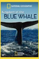 National Geographic Kingdom of Blue Whale