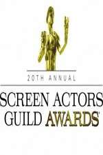 The 20th Annual Screen Actors Guild Awards