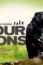 Four Lions