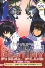 Mobile Suit Gundam Seed Destiny Final Plus: The Chosen Future (OAV