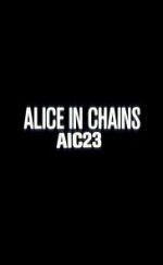 Alice in Chains: AIC 23