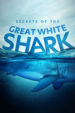 Secrets of the Great White Shark