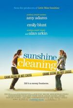 Sunshine Cleaning