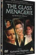 The Glass Menagerie