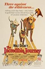 The Incredible Journey