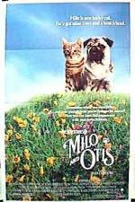 Milo & Otis