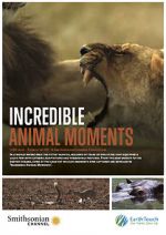 Incredible Animal Moments