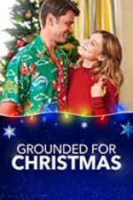 Grounded for Christmas