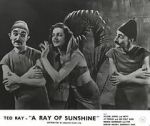 A Ray of Sunshine: An Irresponsible Medley of Song and Dance