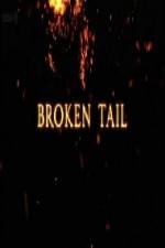 A Tiger Called Broken Tail