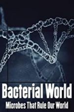 Bacterial World