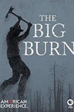 American Experience: The Big Burn