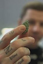 Professor Green: Is It Time to Legalise Weed?