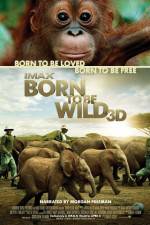 Born to Be Wild