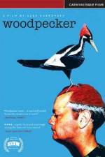 Woodpecker