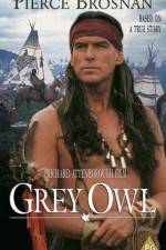 Grey Owl