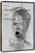 The Short Films of David Lynch