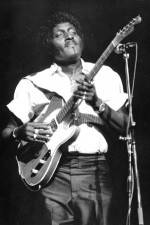 Albert Collins in Concert