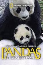 Pandas: The Journey Home