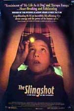 The Slingshot