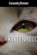 Kittenhood