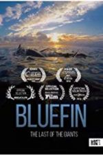 Bluefin