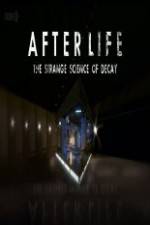 After Life: The strange Science Of Decay