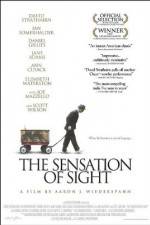 The Sensation of Sight