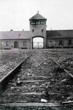 AUSCHWITZ: FRENZIED KILLING