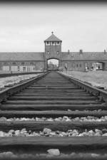 AUSCHWITZ: ORDERS AND INITIATIVES