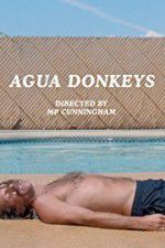 Agua Donkeys